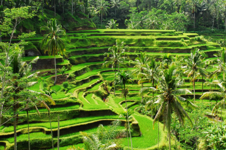 Most Popular Agro Tours Sri Lanka