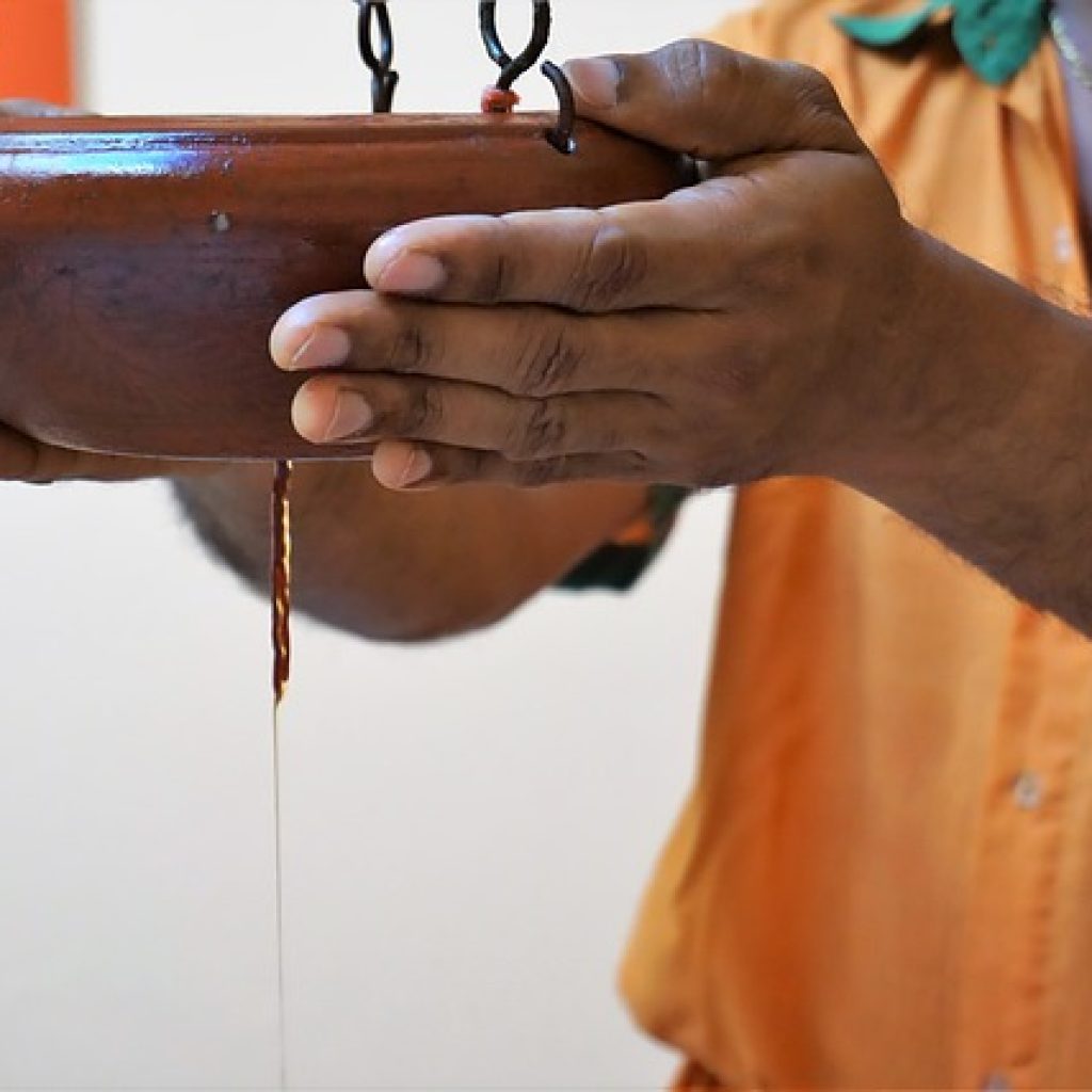 Best ayurveda and yoga tours