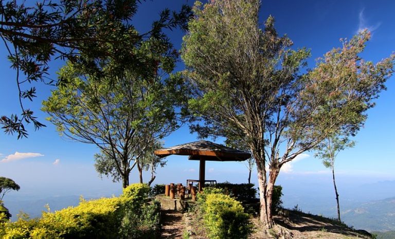 Most Popular Agro Tours Sri Lanka