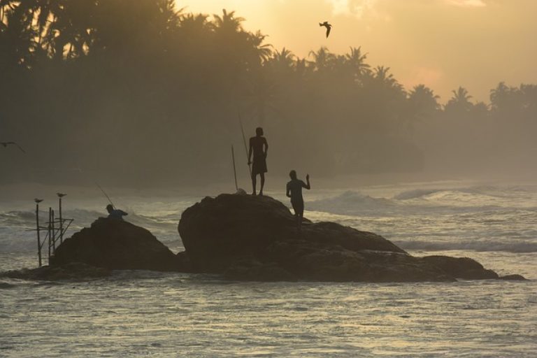 Most Popular Agro Tours Sri Lanka