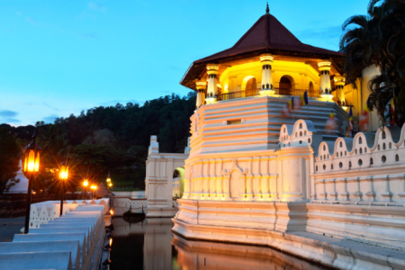 5 days Solo Holidays to Ceylon